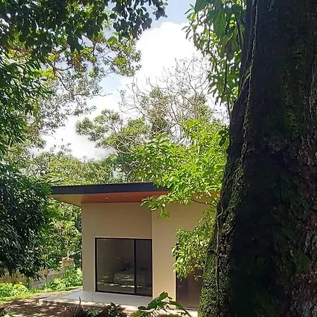 Villa Bosque
